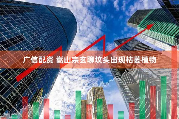 广信配资 嵩山宗玄聊坟头出现枯萎植物
