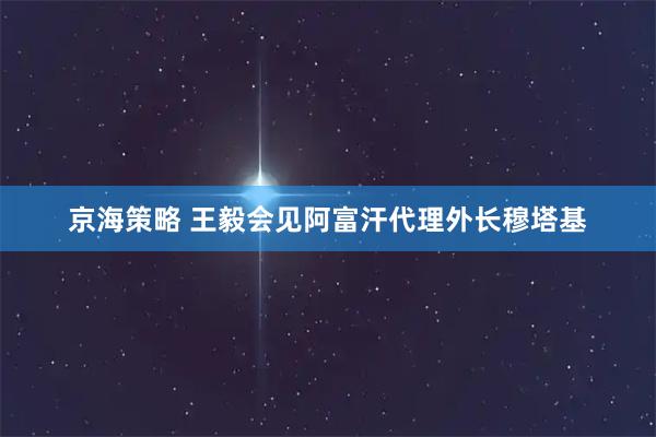 京海策略 王毅会见阿富汗代理外长穆塔基