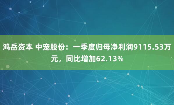 鸿岳资本 中宠股份：一季度归母净利润9115.53万元，同比增加62.13%
