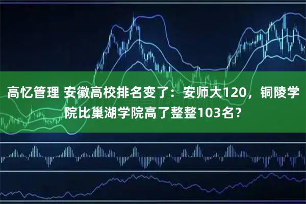 高忆管理 安徽高校排名变了：安师大120，铜陵学院比巢湖学院高了整整103名？