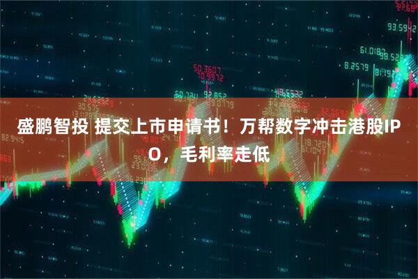 盛鹏智投 提交上市申请书！万帮数字冲击港股IPO，毛利率走低