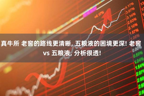 真牛所 老窖的路线更清晰, 五粮液的困境更深! 老窖 vs 五粮液, 分析很透!